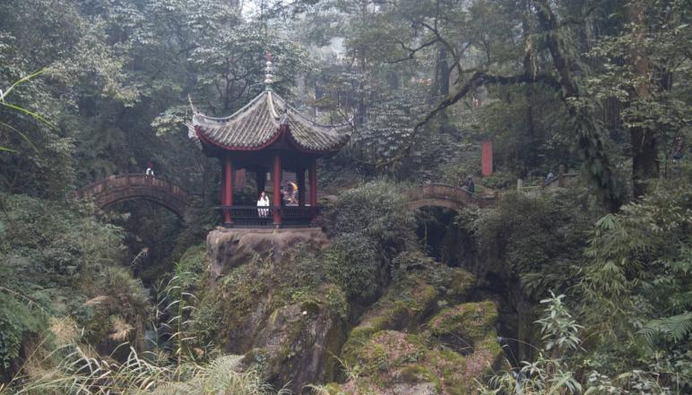 峨眉最新招聘信息3099，工作奇遇与友情温暖相伴的旅程