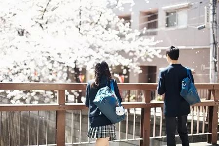 日本新潮变迁，从学习视频到自信的旅程揭秘最新黄色视频的影响