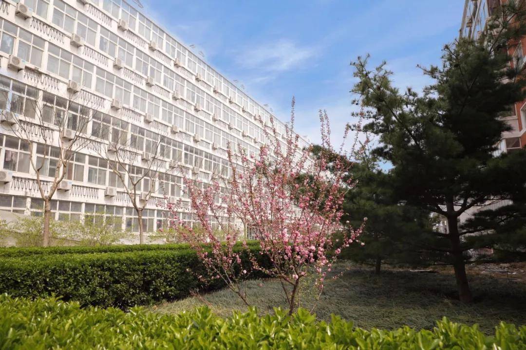 中国电力大学最新排名及解读分析