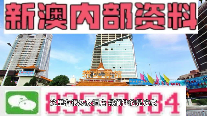 2024最新正版新奥管家婆香港理论解析_CWN3.28.91版