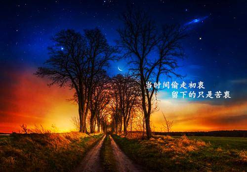 最新午夜福利，深夜与自然美景的邂逅，寻找内心的平和之旅