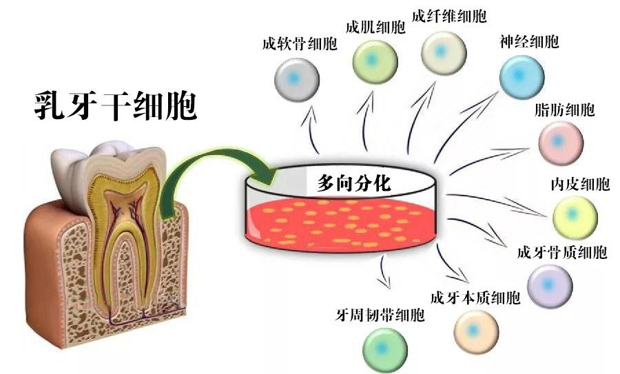 第3515页