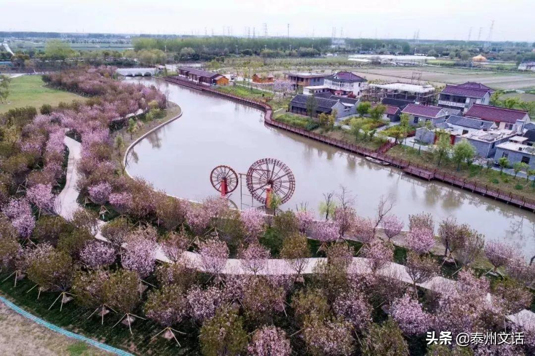 最新房价泰州,最新房价泰州，一场探索自然美景的旅行，寻找内心的平静