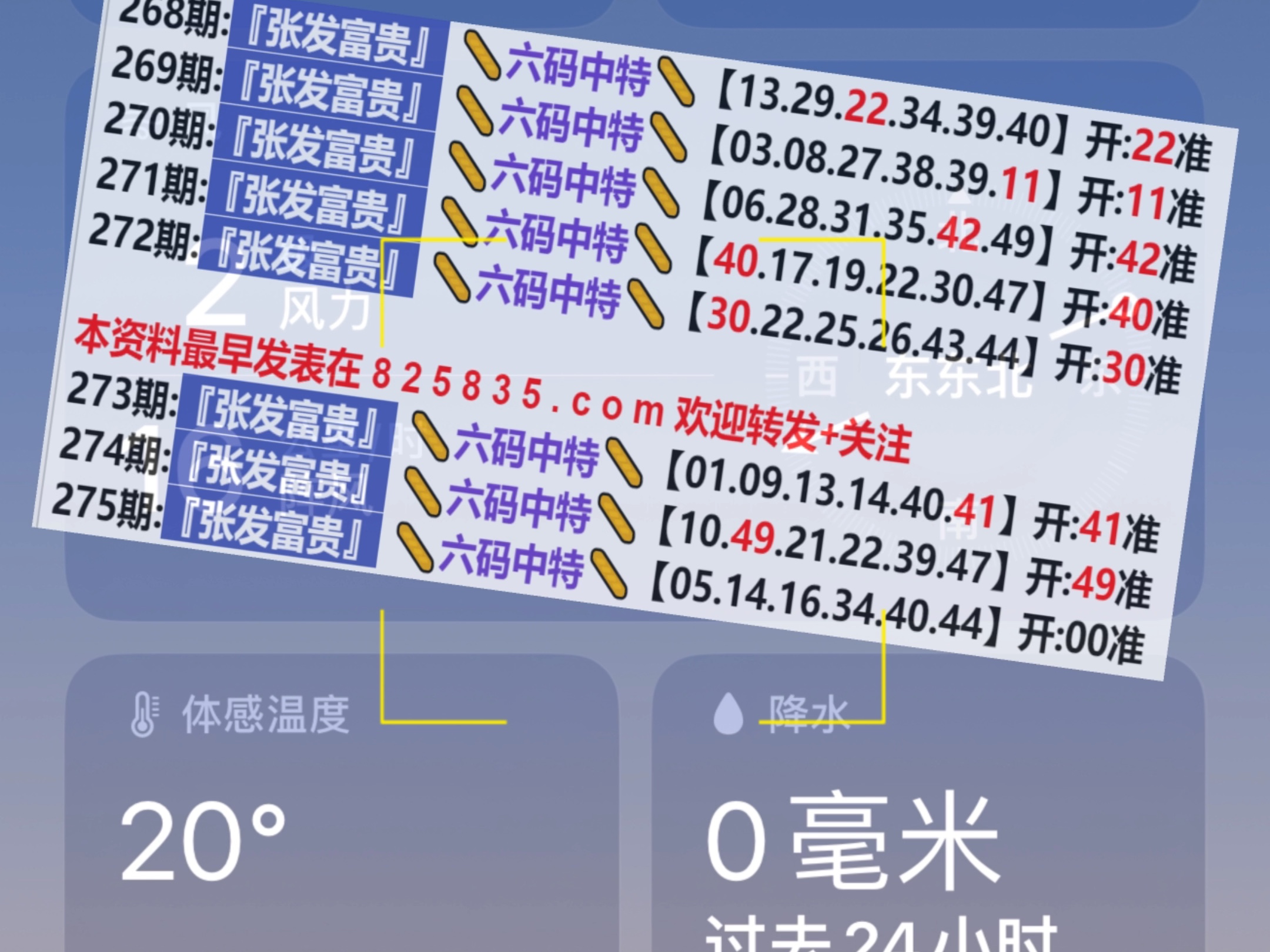 新奥门开奖结果与历史记录,科学数据解读分析_锐意版28.723