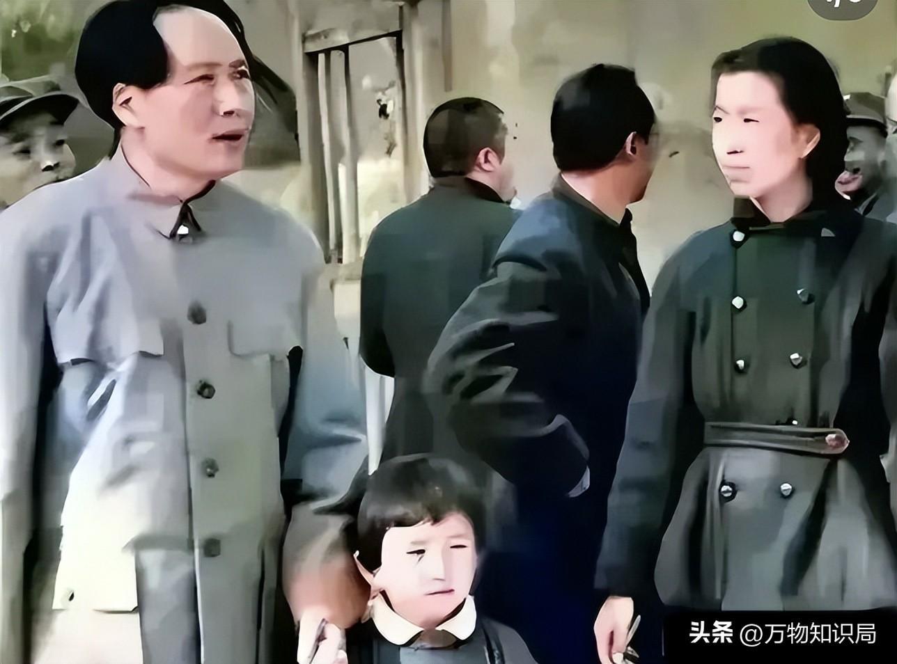 电视剧女人的颜色，背景、时代印记与深远影响，在线观看全解析