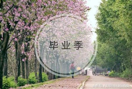 马尾租房最新消息，温馨日常与房源动态