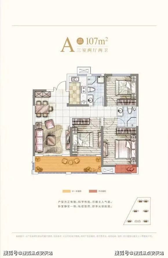 郑媛最新小说深度探讨与解析，深度解析郑媛新作内容