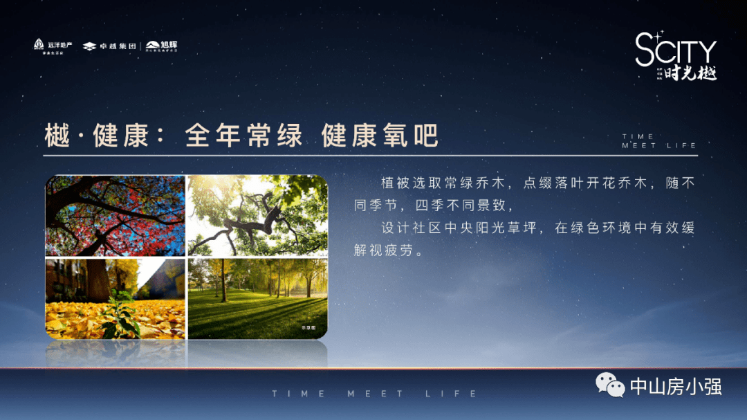 紫金陈最新小说深度解析与前瞻，探索未知世界的新篇章