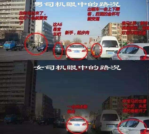 绥中司机招聘最新消息汇总