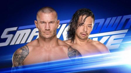 最新WWE狂野角斗士，科技重塑摔跤盛宴，前所未有的激烈战斗体验