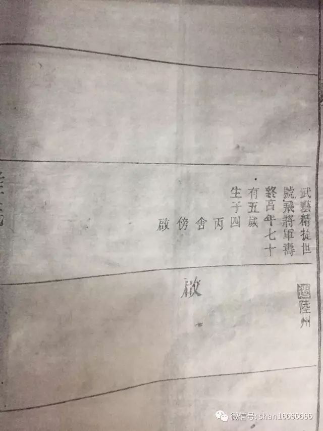 单氏家族最新家谱，多元解读历史、传承与价值