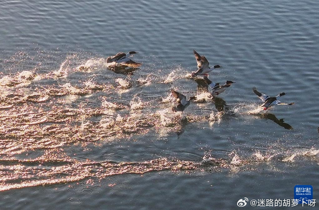 大睢网启程探索自然美景，一场治愈心灵的旅行