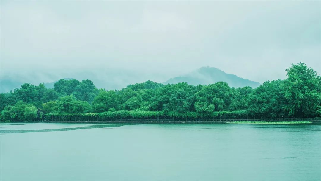山河药辅最新动态，自然美景的治愈之旅
