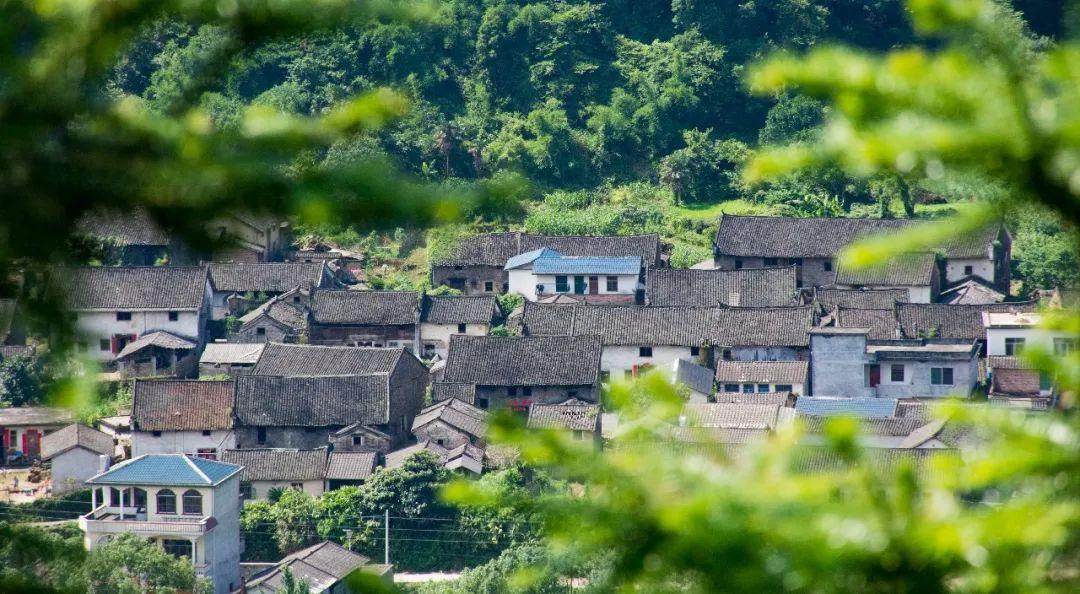 吴奇隆最新电视剧小巷深处的隐藏瑰宝