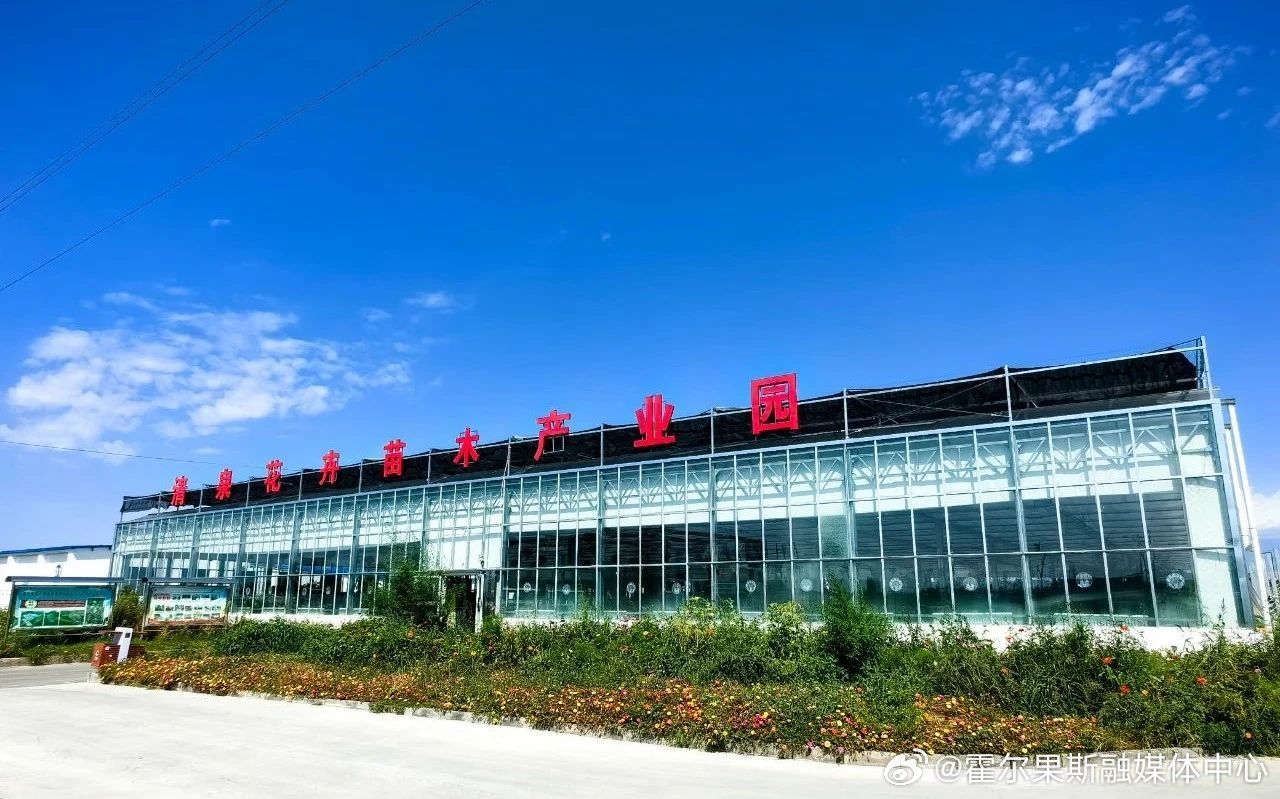 玉米最新价格走势分析，市场波动与多元观点探讨