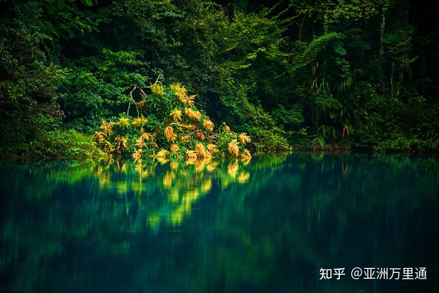 高德地图最新版，探索自然美景，发现内心平和之地