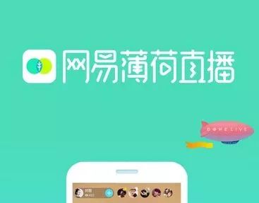 官方回应公司要求连续出勤37天，自然美景之旅寻求内心宁静的回应
