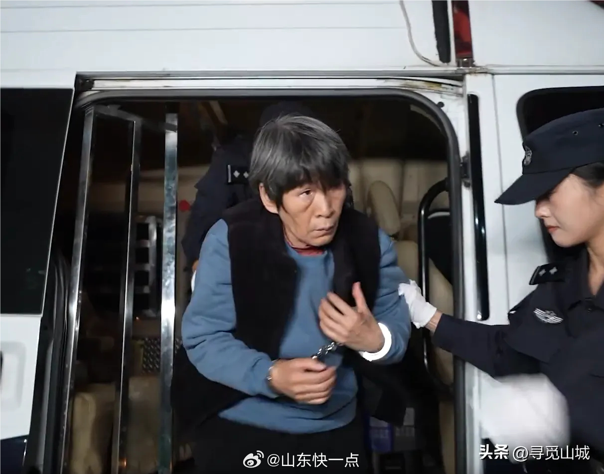 余华英囚车进入法院全程解析，从入门到进阶的实用指南