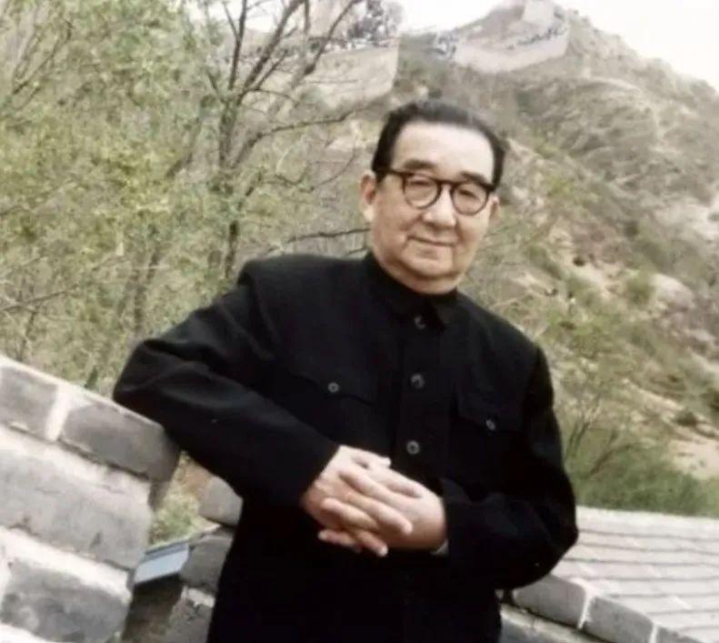 猫和老鼠在线观看，自然美景的探索之旅启程