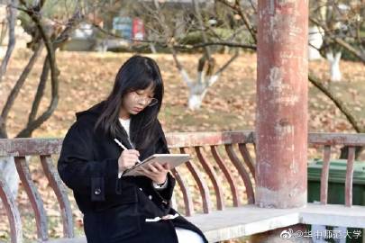 中国大学生在线官网，探索自然美景之旅，寻找内心宁静的旅程