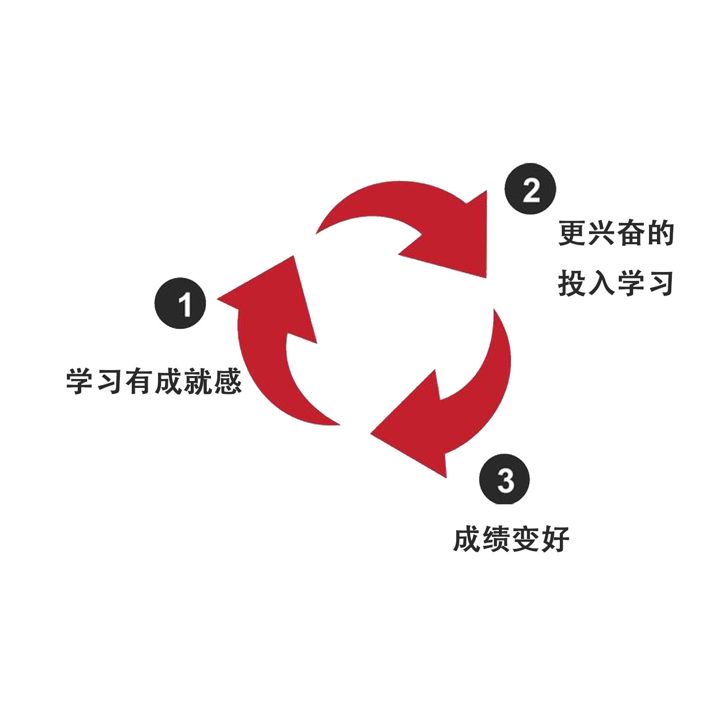 最新运放，开启学习之旅，探索自信与成就感的魔法之门