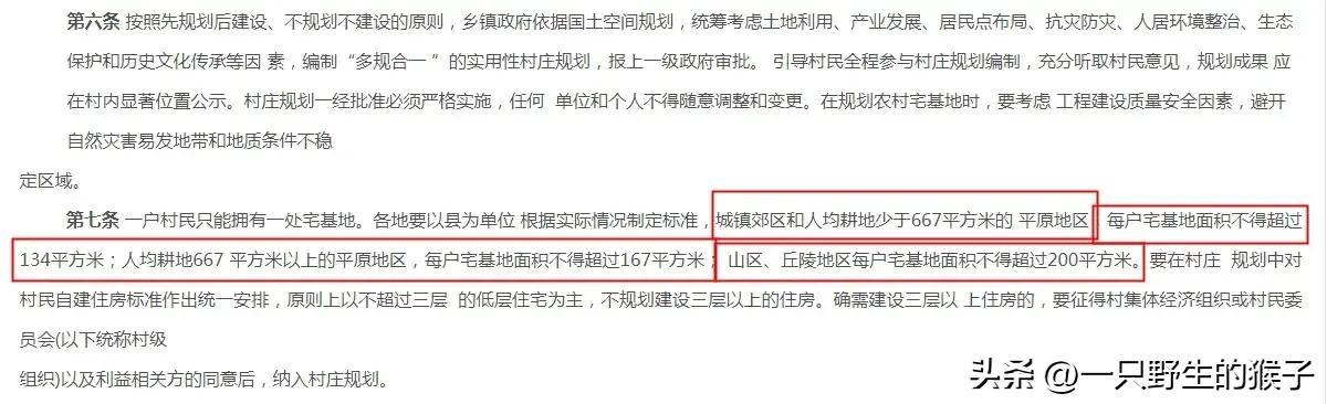 宅基地最新政策，变化中的机遇，激发自信与成就的种子正在萌发。