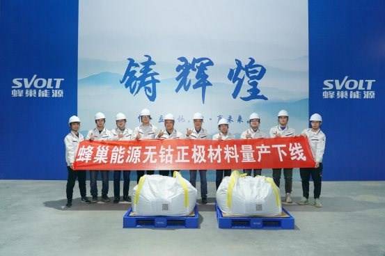科技革新引领绿色能源新时代，棕榈油最新消息速递