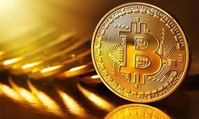 维卡币最新动态，数字货币市场的热点焦点