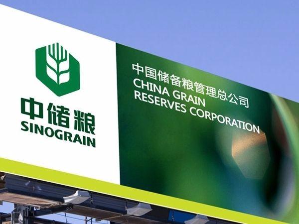 中储粮招聘网最新招聘动态及小巷深处的特色小店探索！