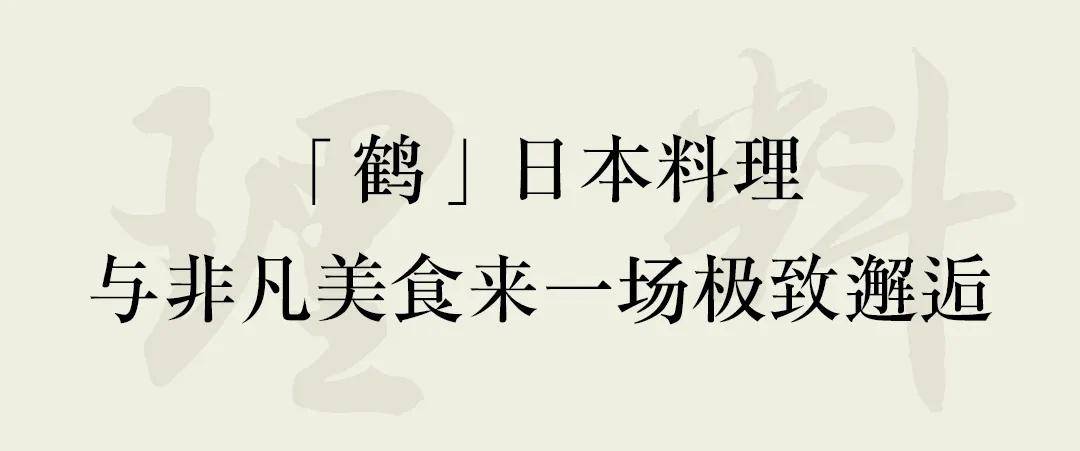 北倾最新小说学习之光，自信与成就感的奇妙旅程探索