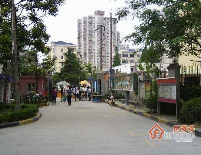 济阳二手房最新消息与小巷深处的特色小店探索之旅