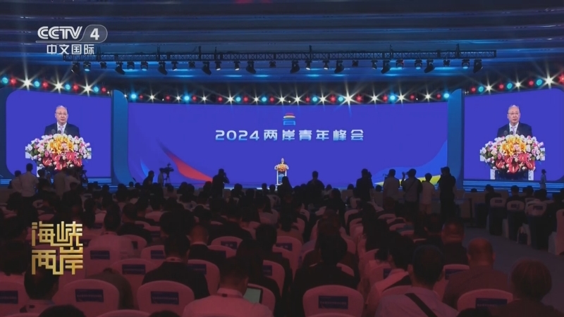 海峡两岸最新一期，完成任务的步骤指南与技能学习指南