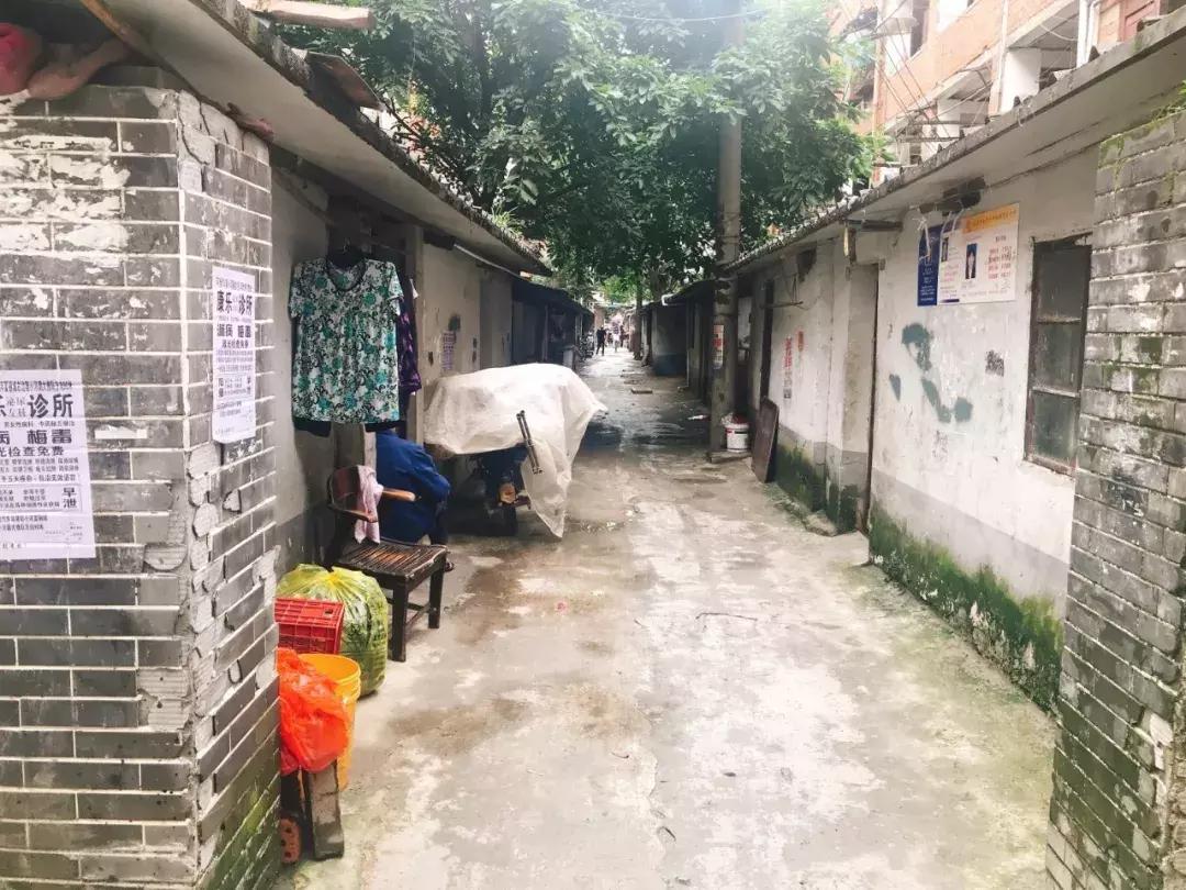 小巷深处的特色小店，视觉与味觉的双重盛宴实拍美图欣赏