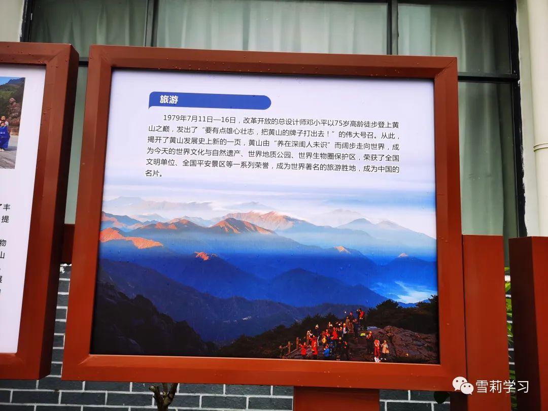 十六号台风来袭，自然美景之旅的最新动态