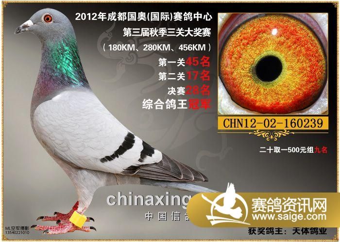 步骤指南 第5页