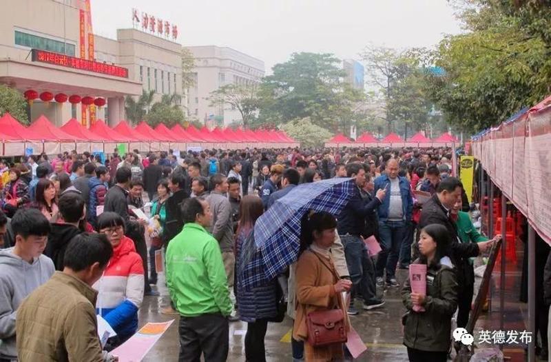 小虫网英德最新招聘,小虫网英德最新招聘，一段温馨的求职之旅