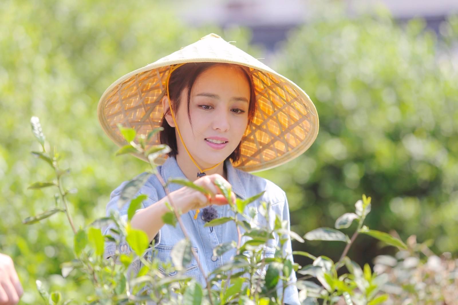 佟丽娅最新电视剧，展现变化的力量，自信成就感的源泉
