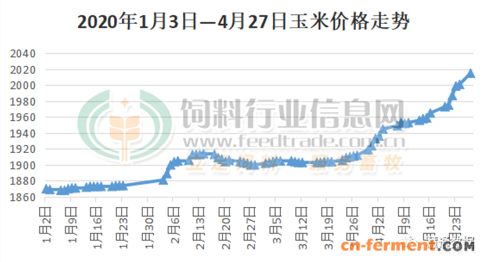 玉米棒价格最新行情，时代变迁与市场的波动影响
