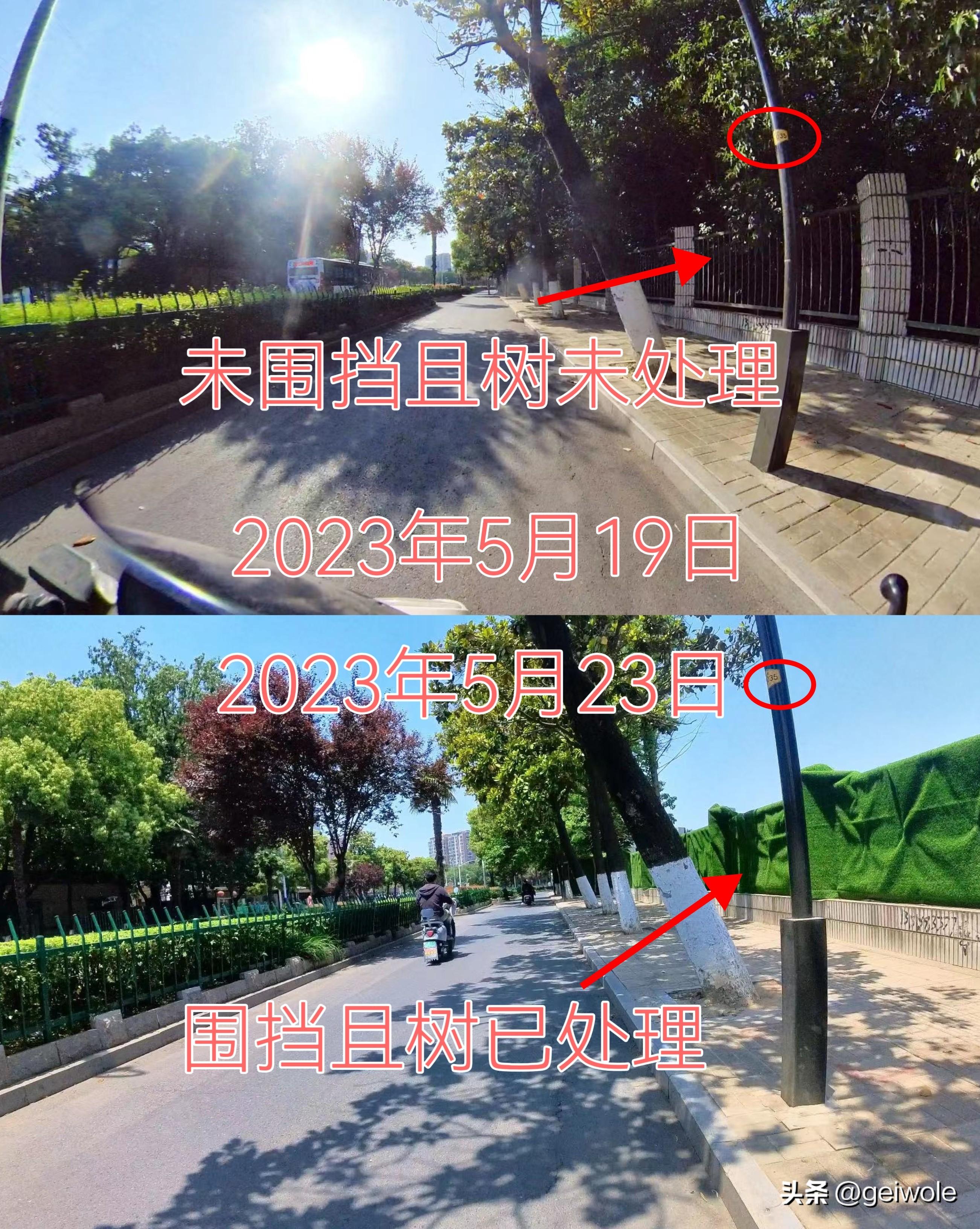 南京地铁11号线最新动态与详细步骤指南