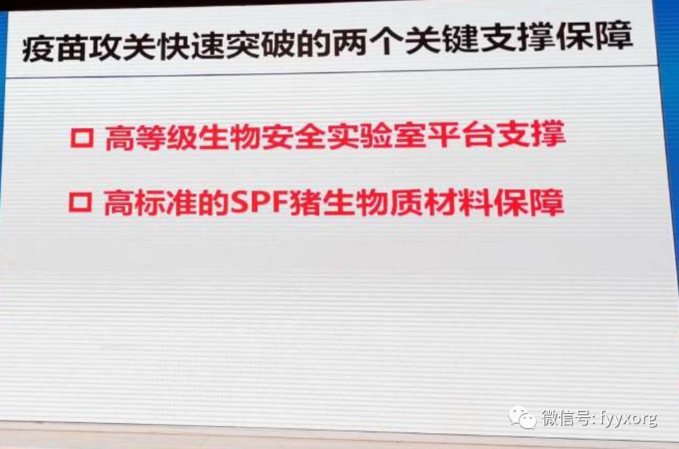 齐齐哈尔最新任职干部步骤指南及详解