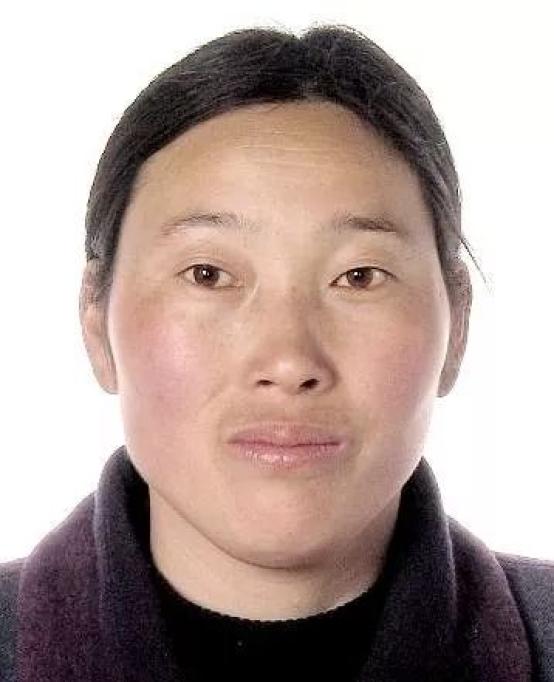 寻找内心平静之旅，揭秘沭阳失信人员背后的故事