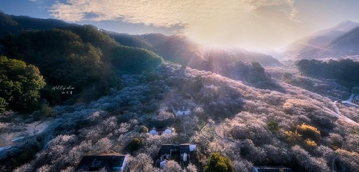 王亚光新浪博客更新，自然美景探索之旅，寻找内心的宁静与喜悦