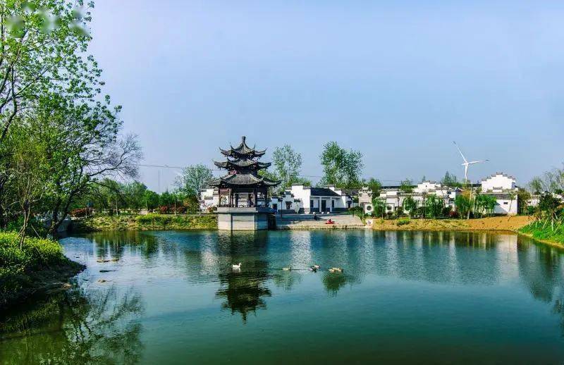 滁州汊河的新变化，学习带来的自信与成就感