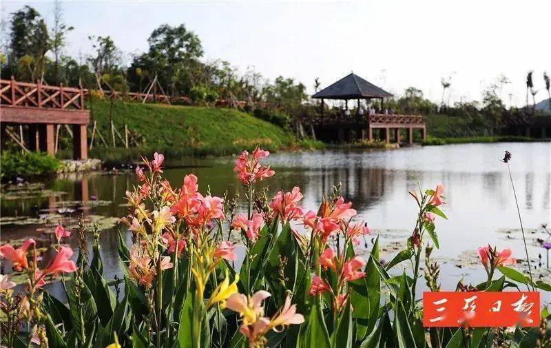 樵汇花园最新价格，自然美景中的旅行探索之旅