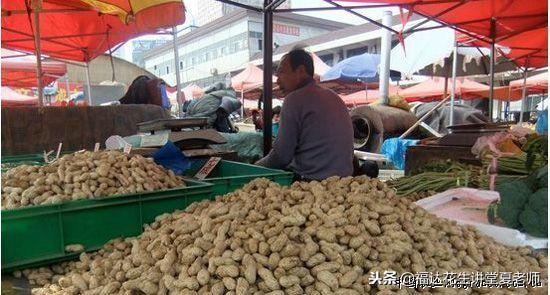 花生价格最新行情回顾与洞察