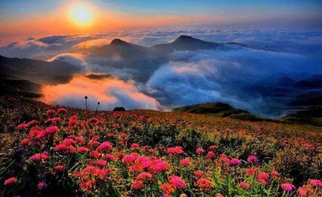 太原最新资讯，探索自然美景之旅，寻找内心平和之地