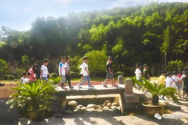 北仑教育局公告，自然美景探索之旅，寻找内心的平和与喜悦