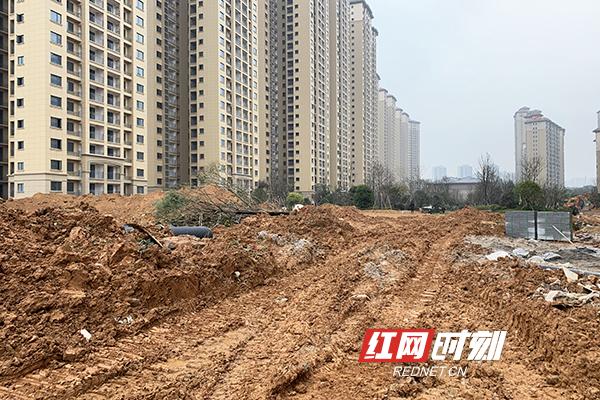 岳麓峰景最新动态，科技重塑生活，未来魅力体验之旅