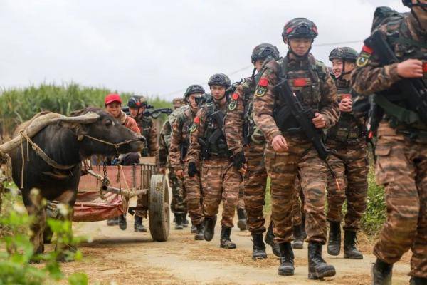 武警唐大淮最新动态更新，最新消息揭秘武警唐大淮的最新进展