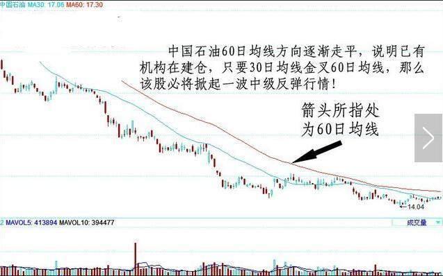 龙洲股份最新动态与小巷深处的独特风味揭秘